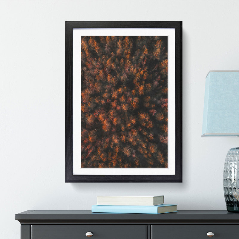 Autumn Forest in Bloom - Picture Frame Painting Print, 45cm H x 33cm W x 2cm D, Black Framed