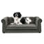 Élégant chien gris foncé pour les grands animaux de compagnie et rembourrage en mousse confortable et surélevé, style moderne, gris, odeur-992477334