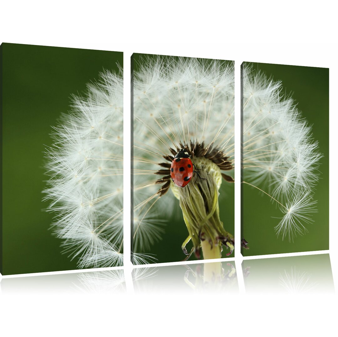 3-tlg. Leinwandbilder-Set „Marienkäfer auf Pusteblume", Fotodruck