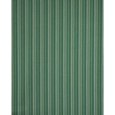 Fino Stripe Indoor/Outdoor Fabric