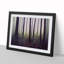 A Mysterious Summer Forest - Framed Print-1983029197-1983029196