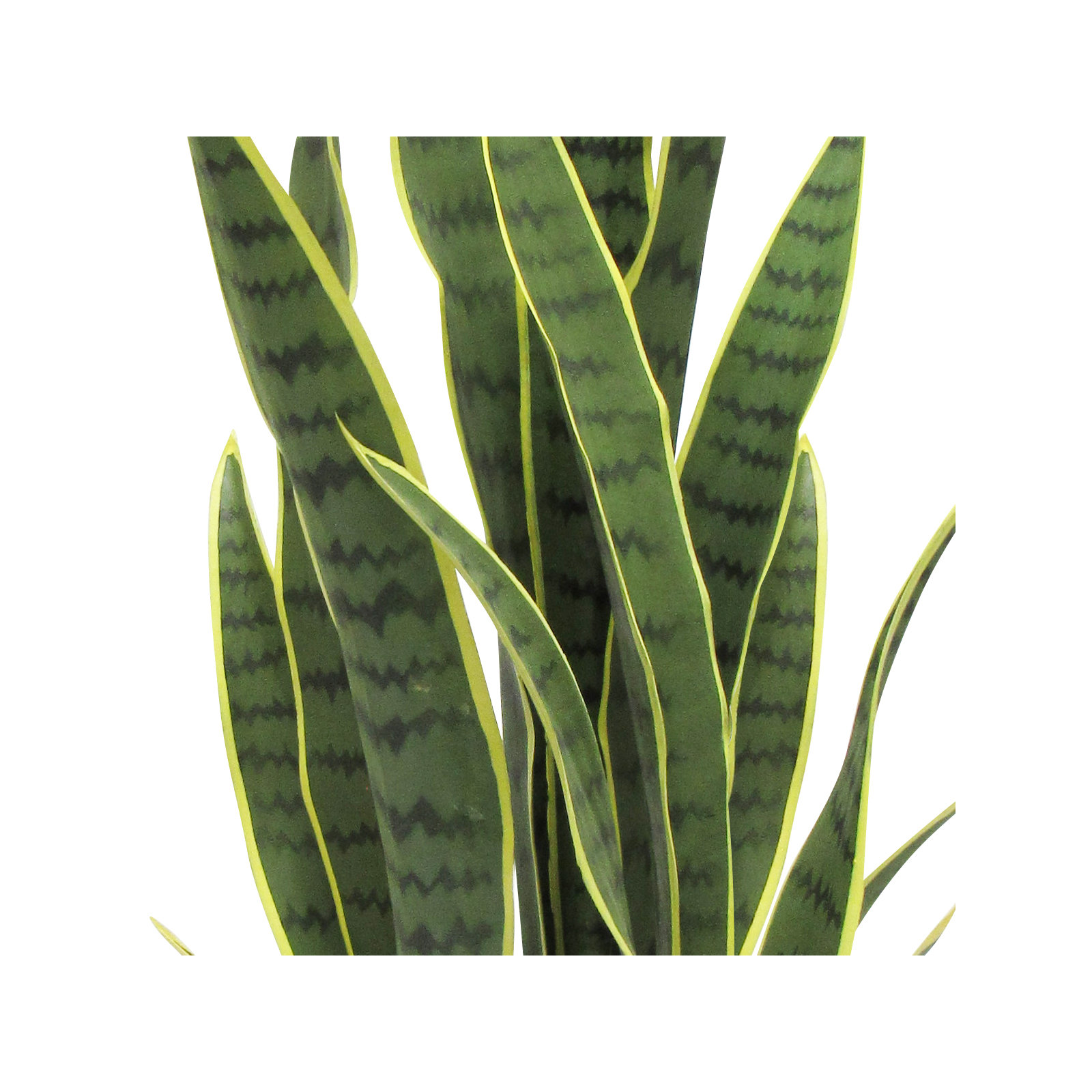 Artificial Sansevieria Snake Plant in Pot, 34" H x 12" W x 12" D