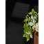 Hanse Home Rangpur - Jute Rug, Natural Rug for Living room, Bedroom, Diningroom