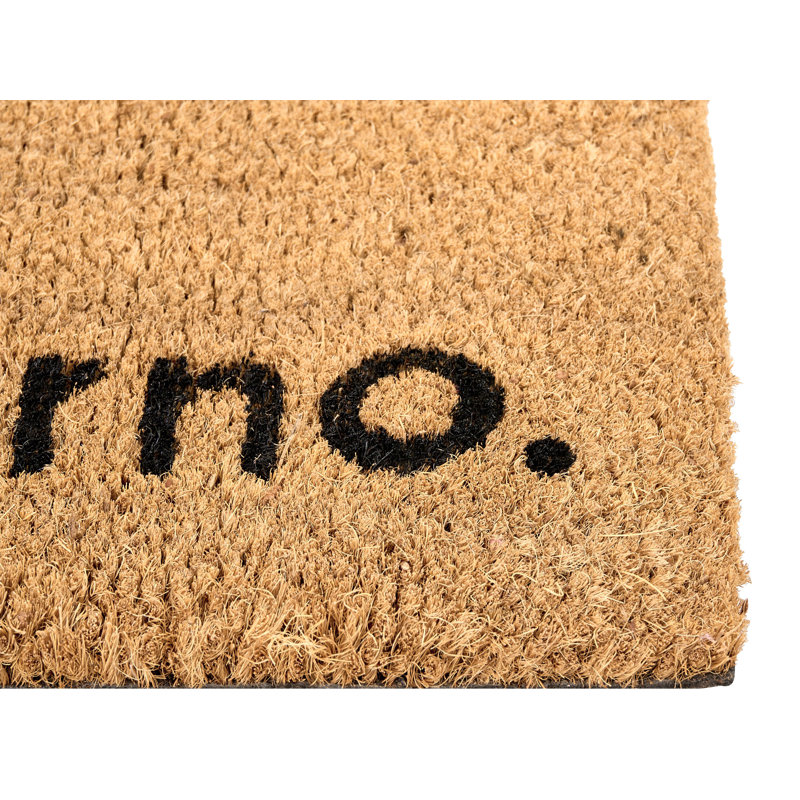 Non-Slip Indoor / Outdoor Doormat