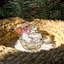 Figurine d'oiseaux en cristal