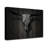 « born2bwild viii », impression sur toile-28142586