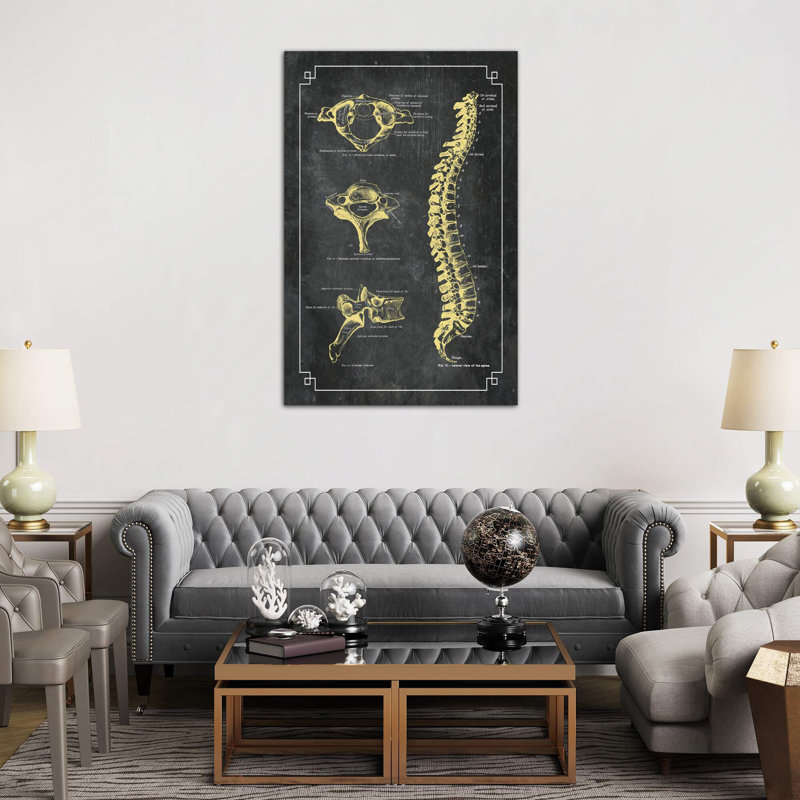 Bones Of The Spine by ChartSmartDecor - Print on Canvas, 152.5 cm H x 101.5 cm W x 3.175 cm D, No Frame
