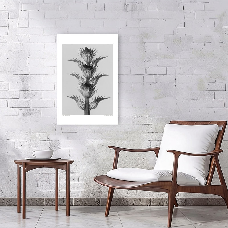 Acanthus Mollis, rétro, art mural rétro, 36" H x 24" W