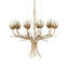 Star Magnolia Chandelier-196524147
