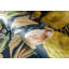 Harldson Mo'orea Inspired Flowers And Birds 8.5 m x 70cm Wallpaper Roll-1211186368