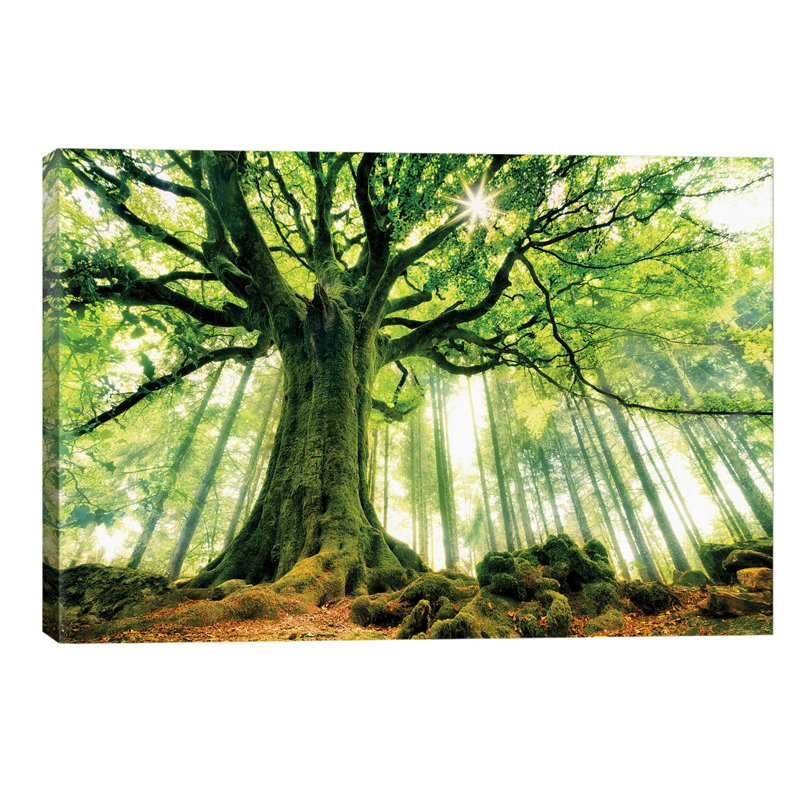 Christophe Kiciak - Wrapped Canvas Print, 66.04 cm H x 45.72 cm W x 1.91 cm D