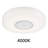 Acrylic LED Flush Mount