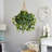 26 " H Faux Ivy Plant