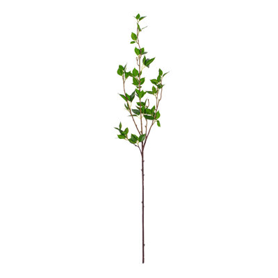 Middle Leaf Cherry Stems
