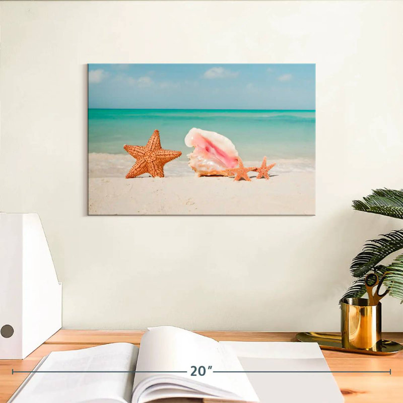 Étoile de mer et coquille de plage