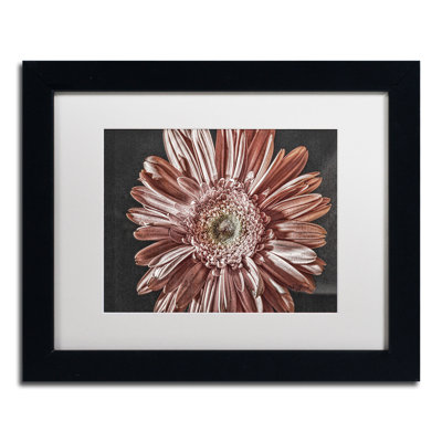 «Silvery Pink» par Lois Bryan - reproduction de photo sur toile encadrée