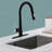 GAWEZA Pull Down Kitchen Faucet-86846742