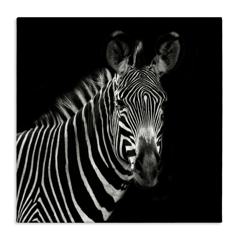 «Jungle Zebra Portrait», art mural sur toile par Susan Bryant, H 17 po x l 17 po