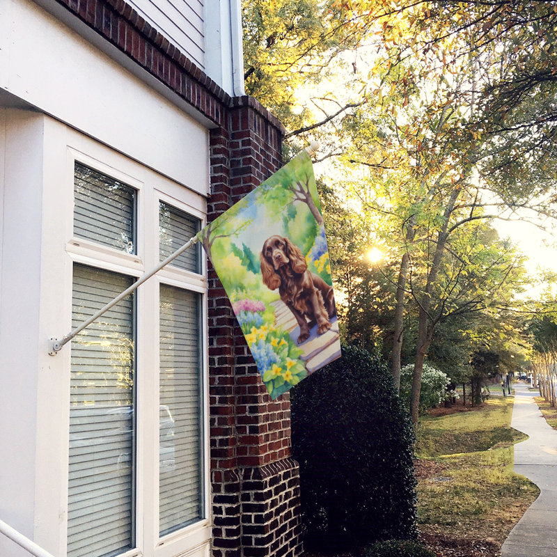 Drapeau de maison en polyester à double face H 40 po x l 28 po