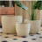 Handmade Ceramic Flower Pot Set of 3, 15/12/9 Inch Diameter, White Diamond Pattern, for Succulents Indoor/Outdoor Use on Windowsill & Bookshelf, Breathable Clay-1194804594