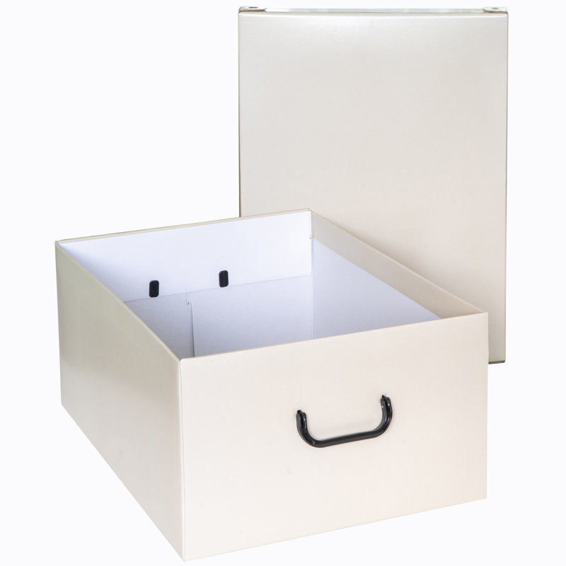Storage Box: 6pk Large - Beige, Beige