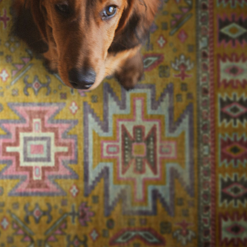 Laurel Sivas Machine Woven Polyester Area Rug in Yellow, Runner 2'2" x 10'