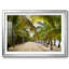 Tropical Walkway, reproduction d'art encadrée-1105344650-1105344653