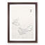 Moths by Morimoto Toko - Picture Frame Painting Print-55581589-55581588