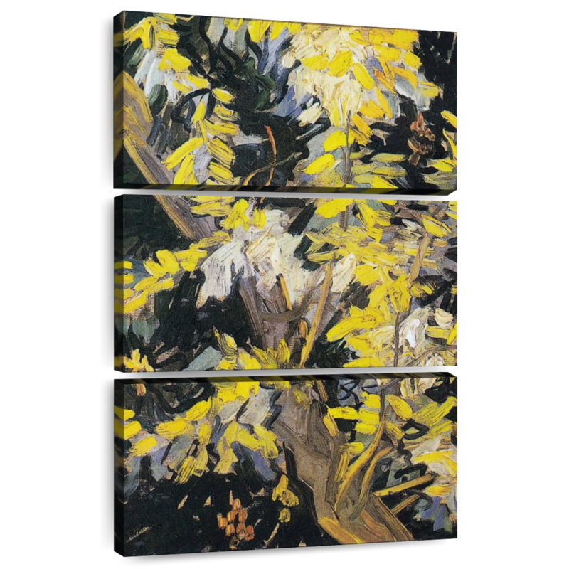 Branches d'acacia en fleurs