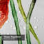 Aquarelle, fleurs de pavot, peinture rouge, printemps botanique avec 12 crochets-1318563988