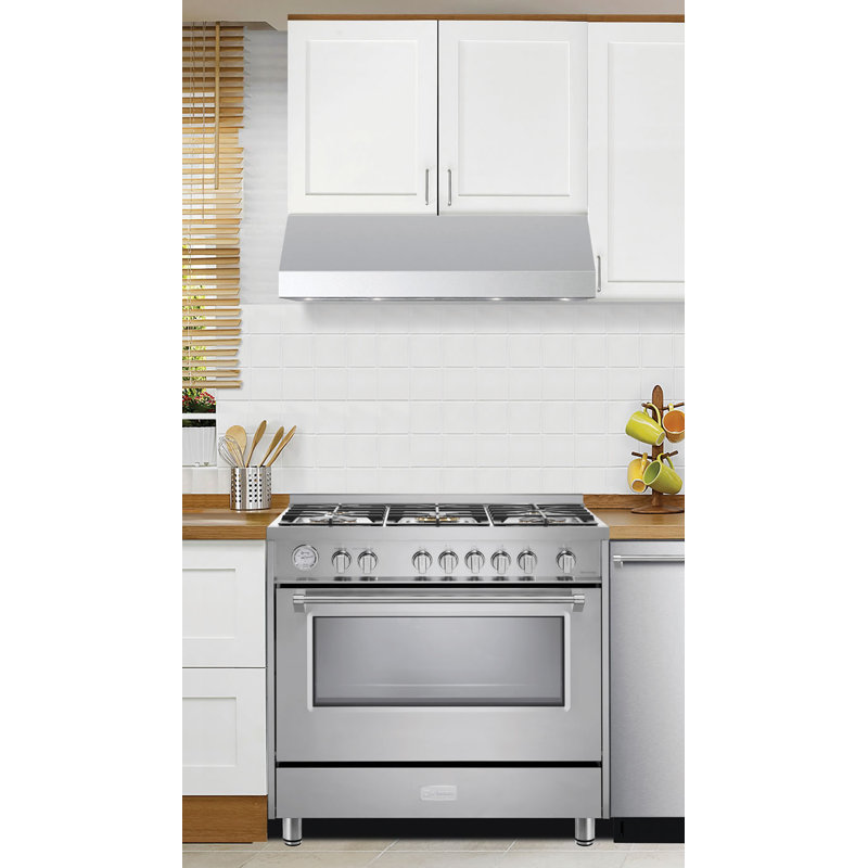 Designer 600 CFM Convertible Under Cabinet Range Hood in Stainless steel, 29.9063" W