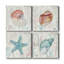 Coral and Shell I - ensemble de 4 reproductions sur toiles tendues-1848821279