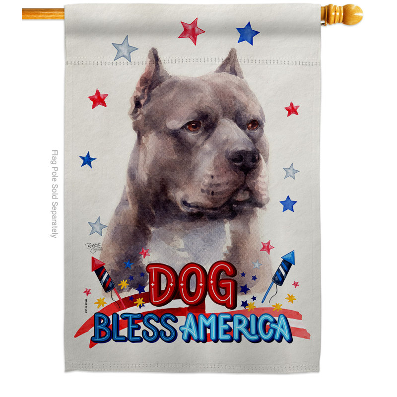Drapeau de maison patriotique en polyester 3 faces 2 x 2 pi