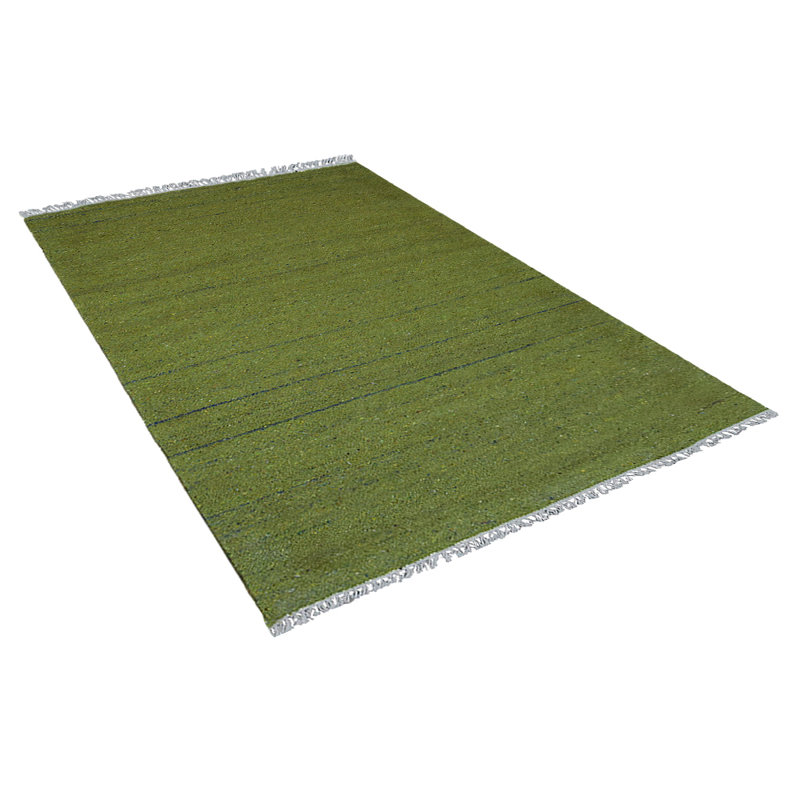 Hand Woven Flat Weave Skittles Kilim Solid Green Cotton & Polyester Rectangle Indoor Area Rug, Rectangle 5' x 8'