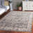 Ronard Performance Oriental Rug-1492367500