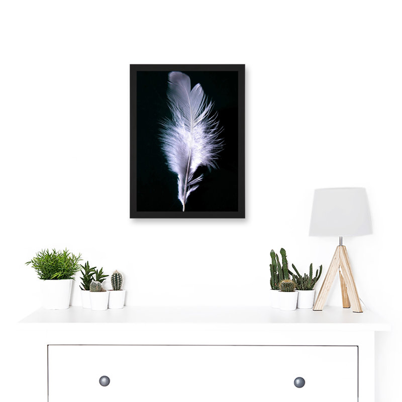 Black White Single Feather Bird - Single Picture Frame Print