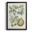 Buchoz Tropicals VIII, reproduction d'art encadrée-88436153-88436155