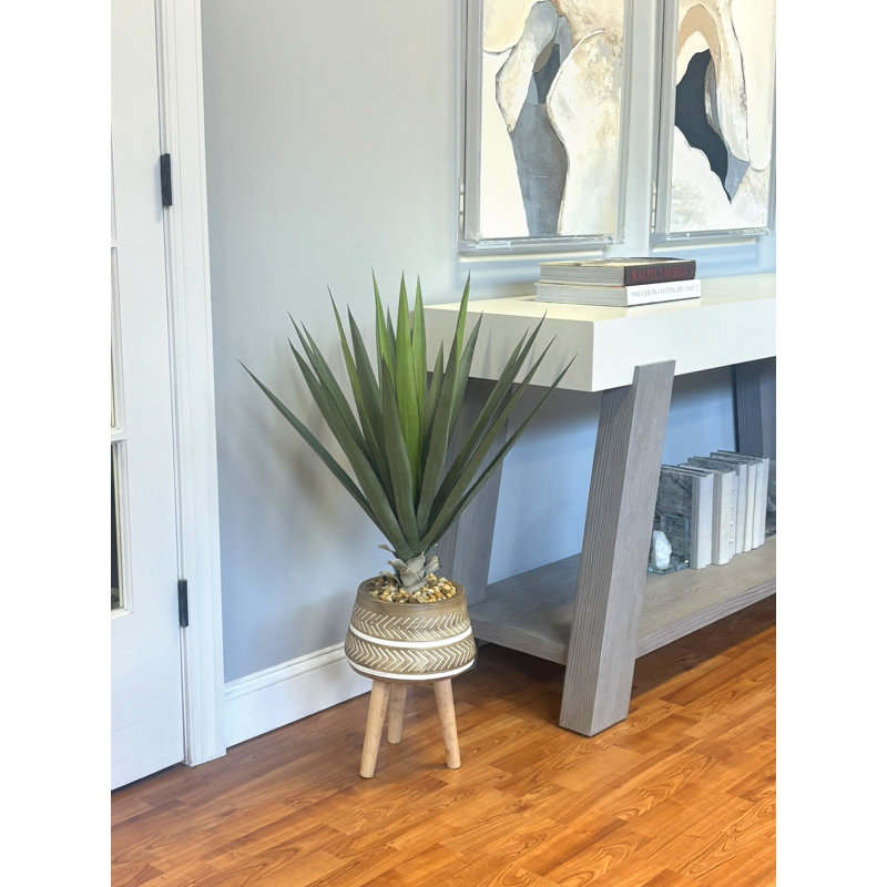 Yucca en pot de fleurs en céramique
