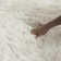 Midville Solid Colour Hand Woven Area Rug