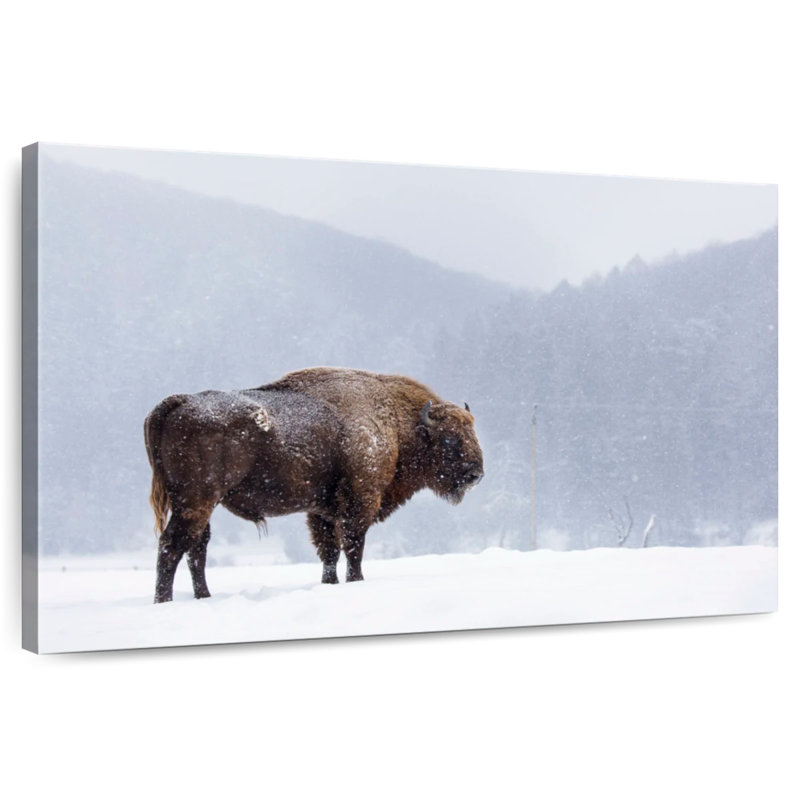 Brampt Romanian Bison, 8" H x 12" W