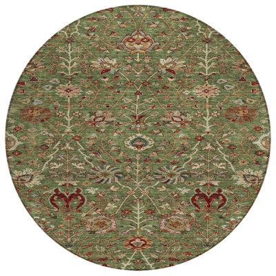 Chayil Area Rug with Non-Slip Backing