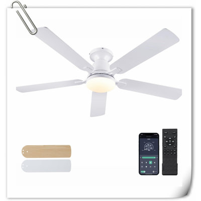 Ventilateur de plafond Museau