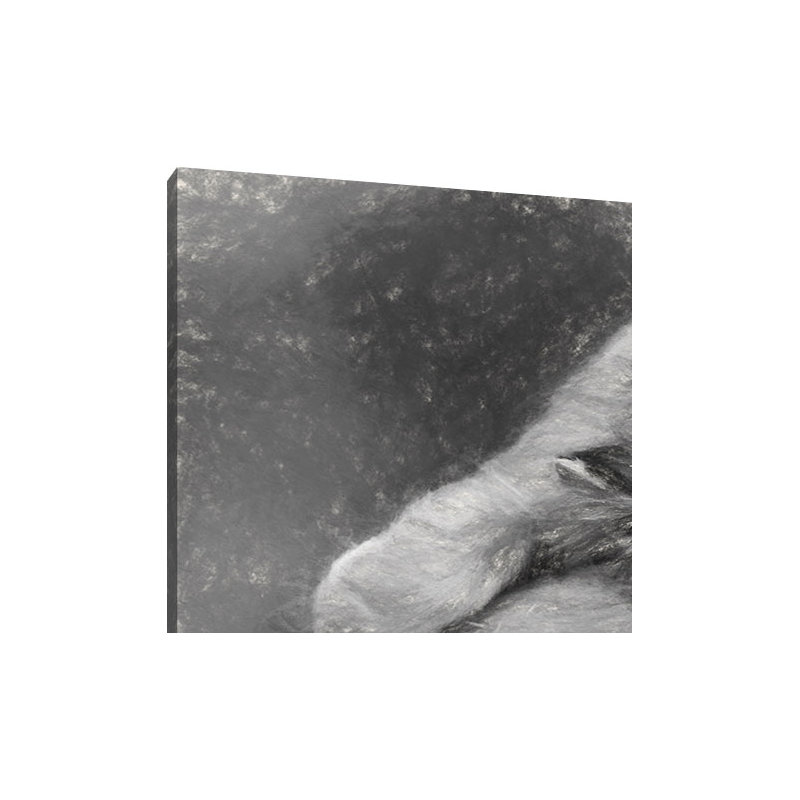 Hudson Appliance Pull, Brushed Oil Rubbed Bronze, 12"