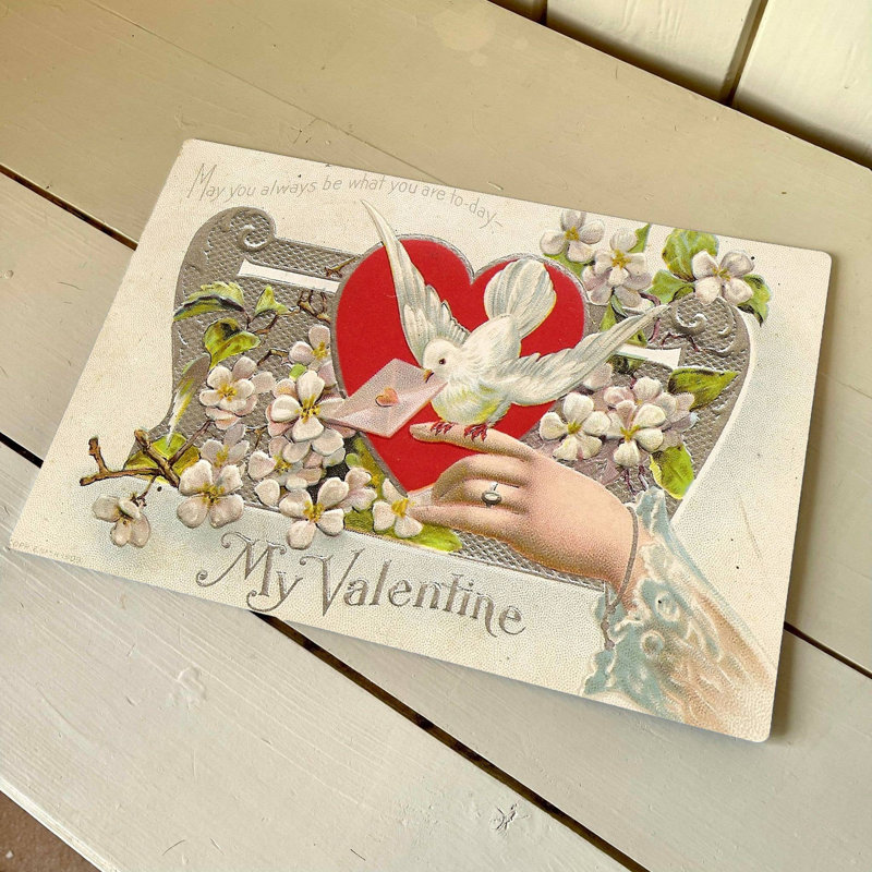 My Valentines Dove Hand Travel - No Frame Print on Metal