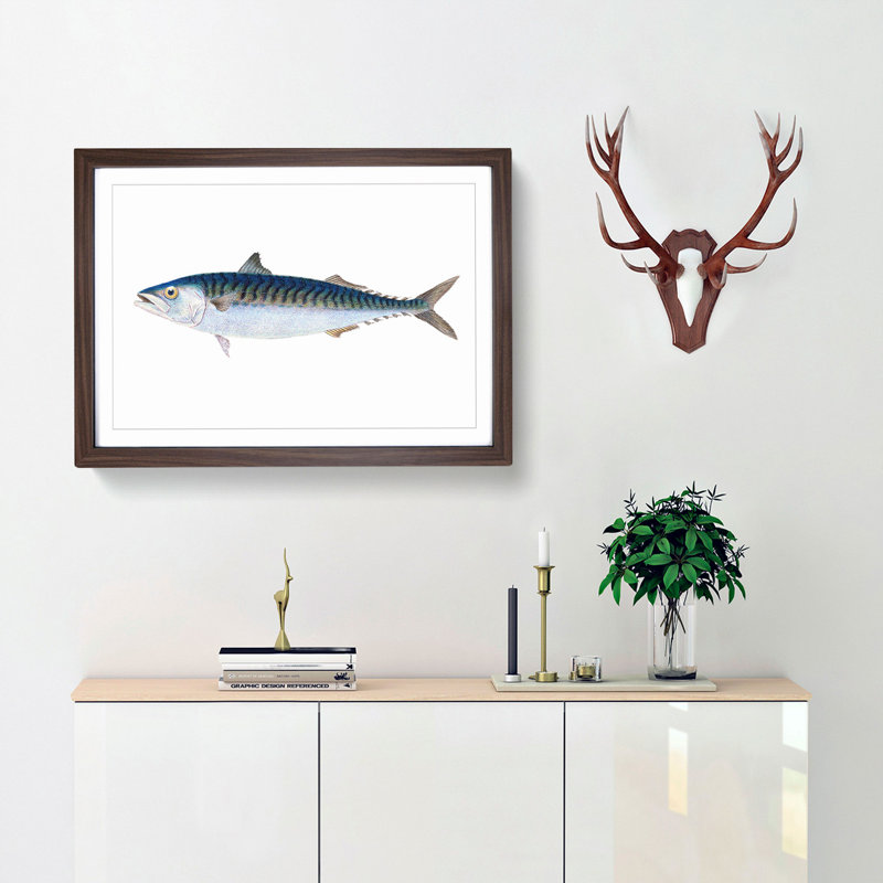 Mackerel Fish by Edward Donovan - Framed Print, 48cm H x 65cm W x 2cm D, Walnut Framed
