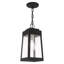 Lanterne suspendue d'extérieur 1 lumière H 14,5 po Antionetta-790517838