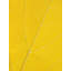 Autumn Leaf Print by Philippe Monthoux-65800953-65800954