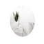 Gurbani Flat Wall Mirror