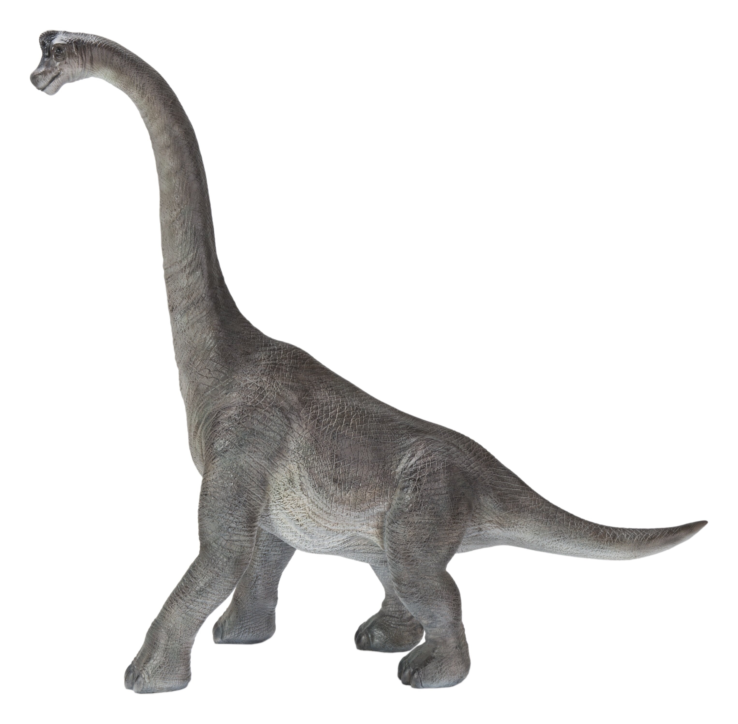 Hi-Line Gift Ltd. Dinosaur Brachiosaurus & Reviews | Wayfair