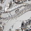 Ames Genuine Grey Crystal Chandelier-1592086304